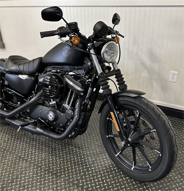 2021 Harley-Davidson Sportster at Gasoline Alley Harley-Davidson