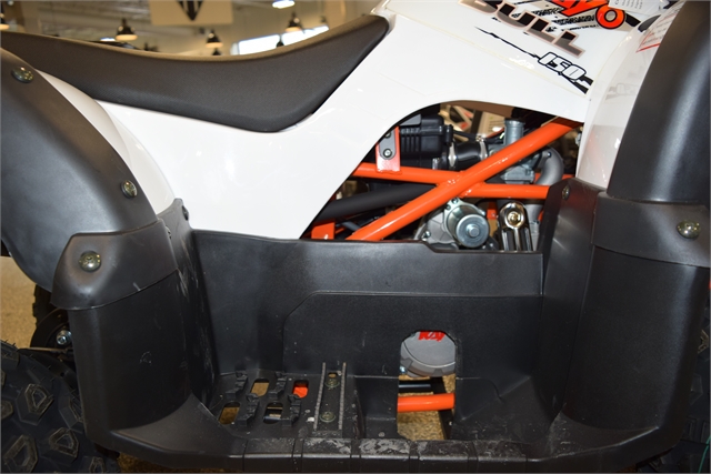2022 Kayo Bull 150 at Motoprimo Motorsports