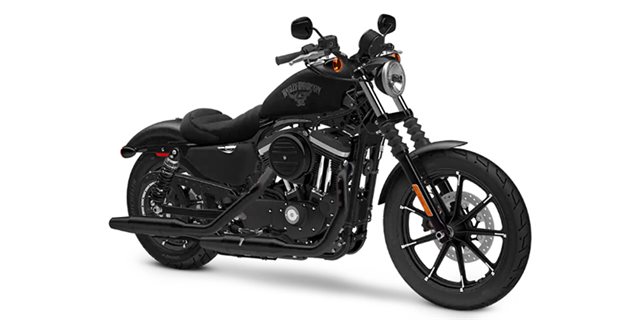 2018 Harley-Davidson Sportster Iron 883 at Buddy Stubbs Arizona Harley-Davidson