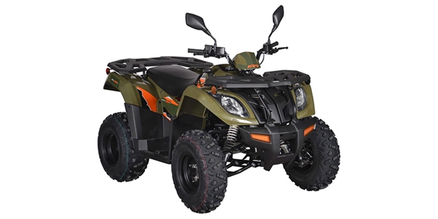 2025 Kayo Bull 300 EFI at Wise Honda