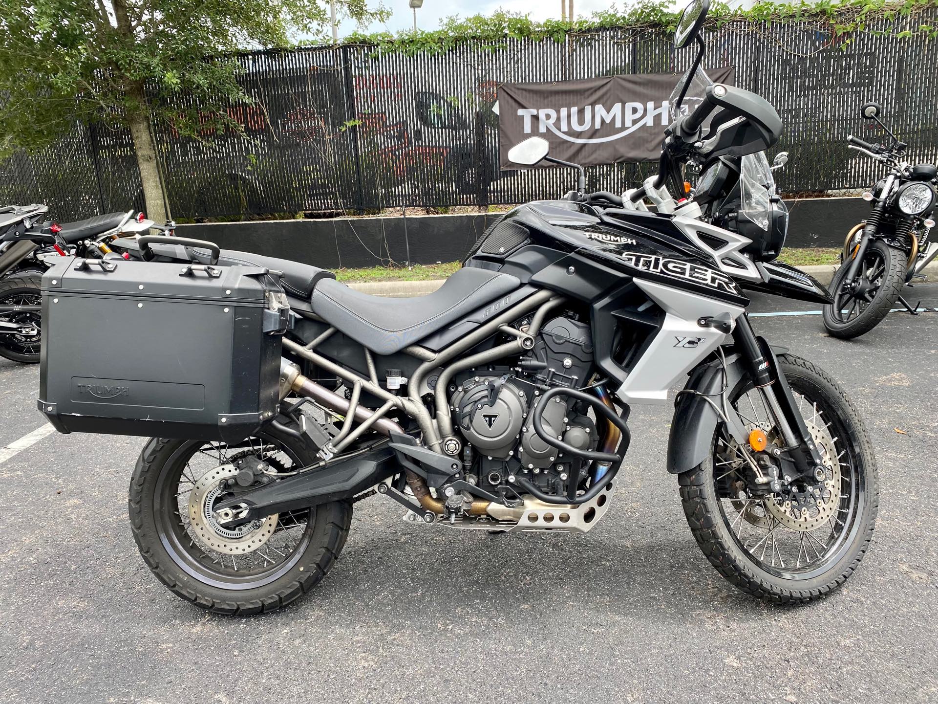 2019 Triumph Tiger 800 XCx at Tampa Triumph, Tampa, FL 33614