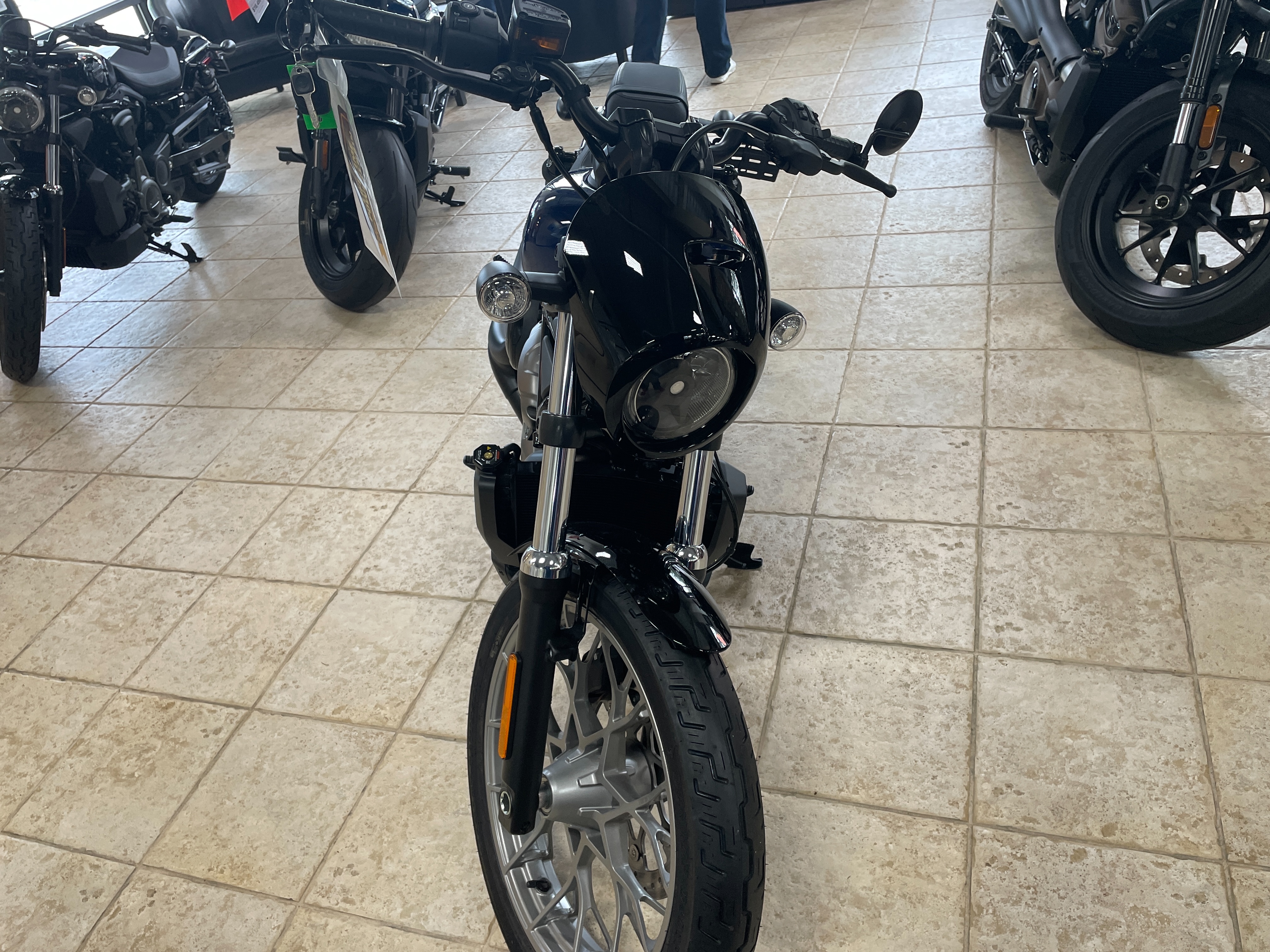 2023 Harley-Davidson Sportster Nightster Special at Destination Harley-Davidson®, Silverdale, WA 98383