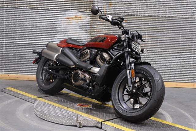 2024 Harley-Davidson Sportster at Texarkana Harley-Davidson