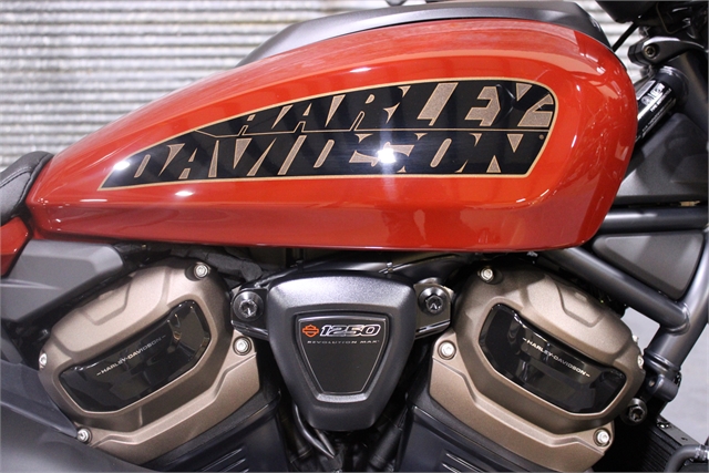 2024 Harley-Davidson Sportster at Texarkana Harley-Davidson