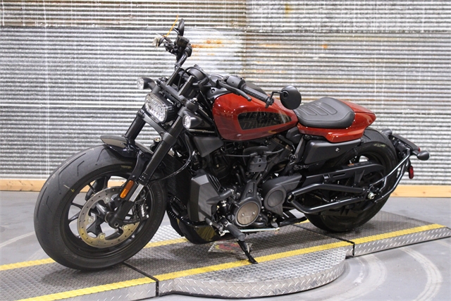 2024 Harley-Davidson Sportster at Texarkana Harley-Davidson