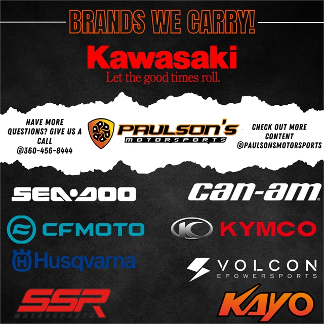 2016 Kawasaki Ninja 300 ABS at Paulson's Motorsports
