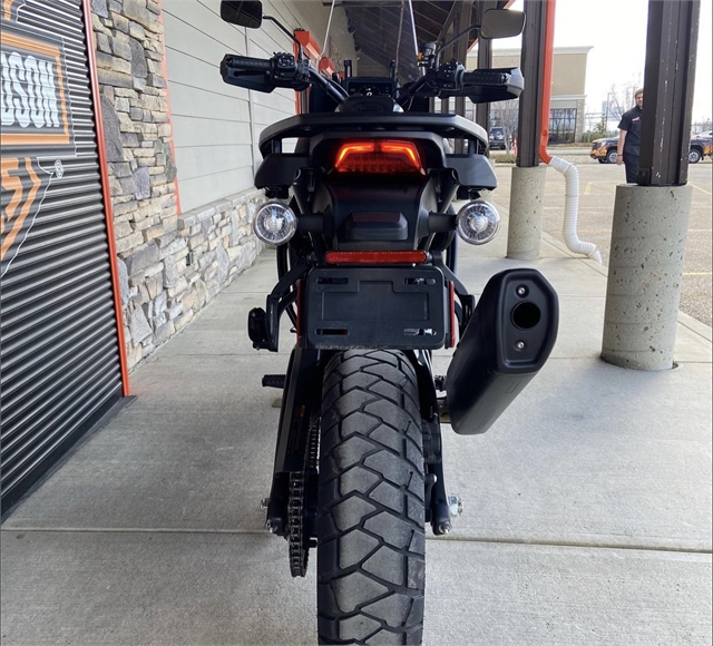 2023 Harley-Davidson Pan America 1250 at Gasoline Alley Harley-Davidson