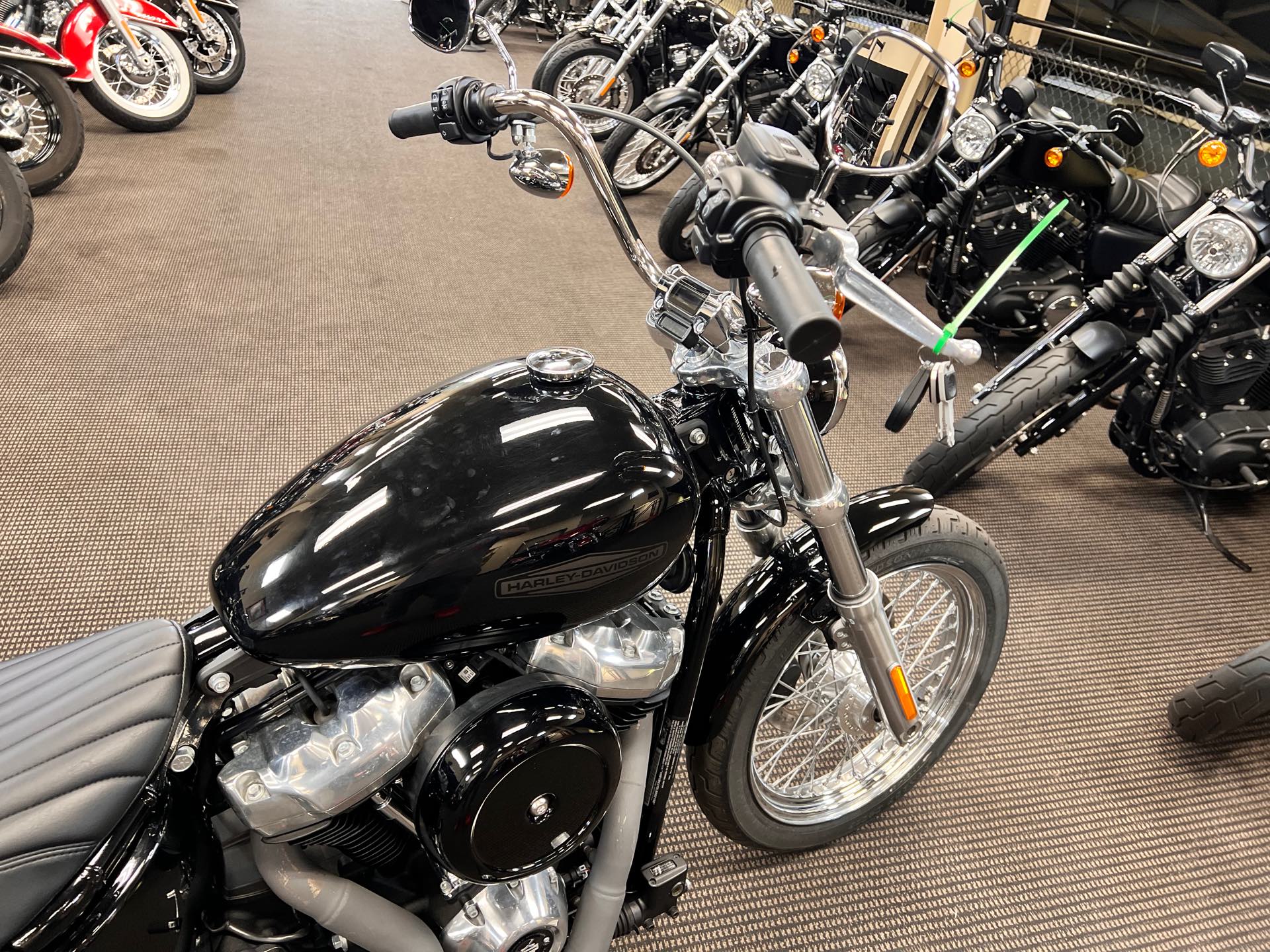 2020 Harley-Davidson Softail Standard at Man O'War Harley-Davidson®