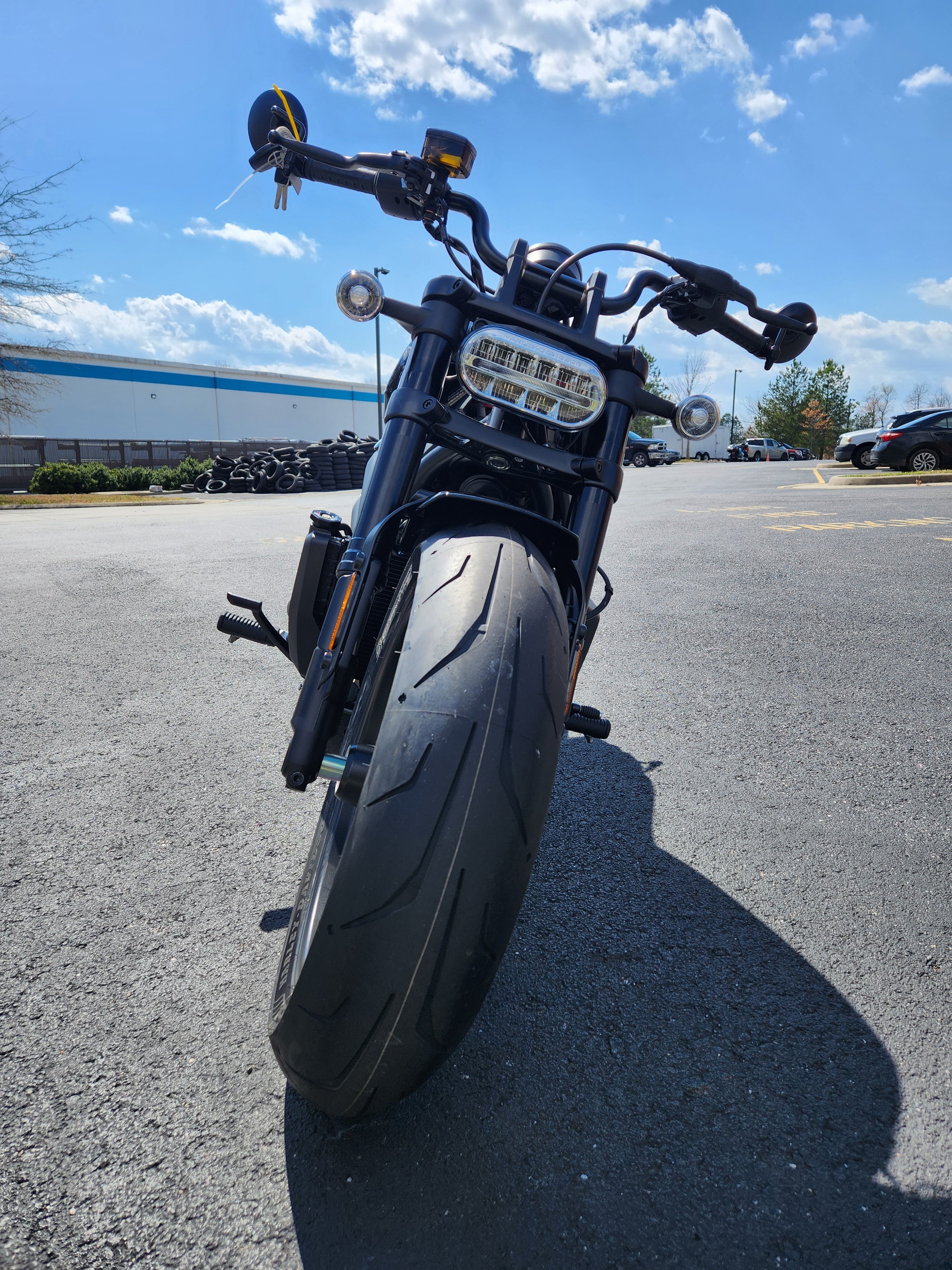 2024 Harley-Davidson Sportster at Richmond Harley-Davidson