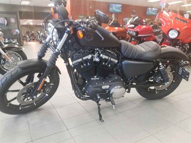 19 Harley Davidson Sportster Iron 8 Rooster S Harley Davidson