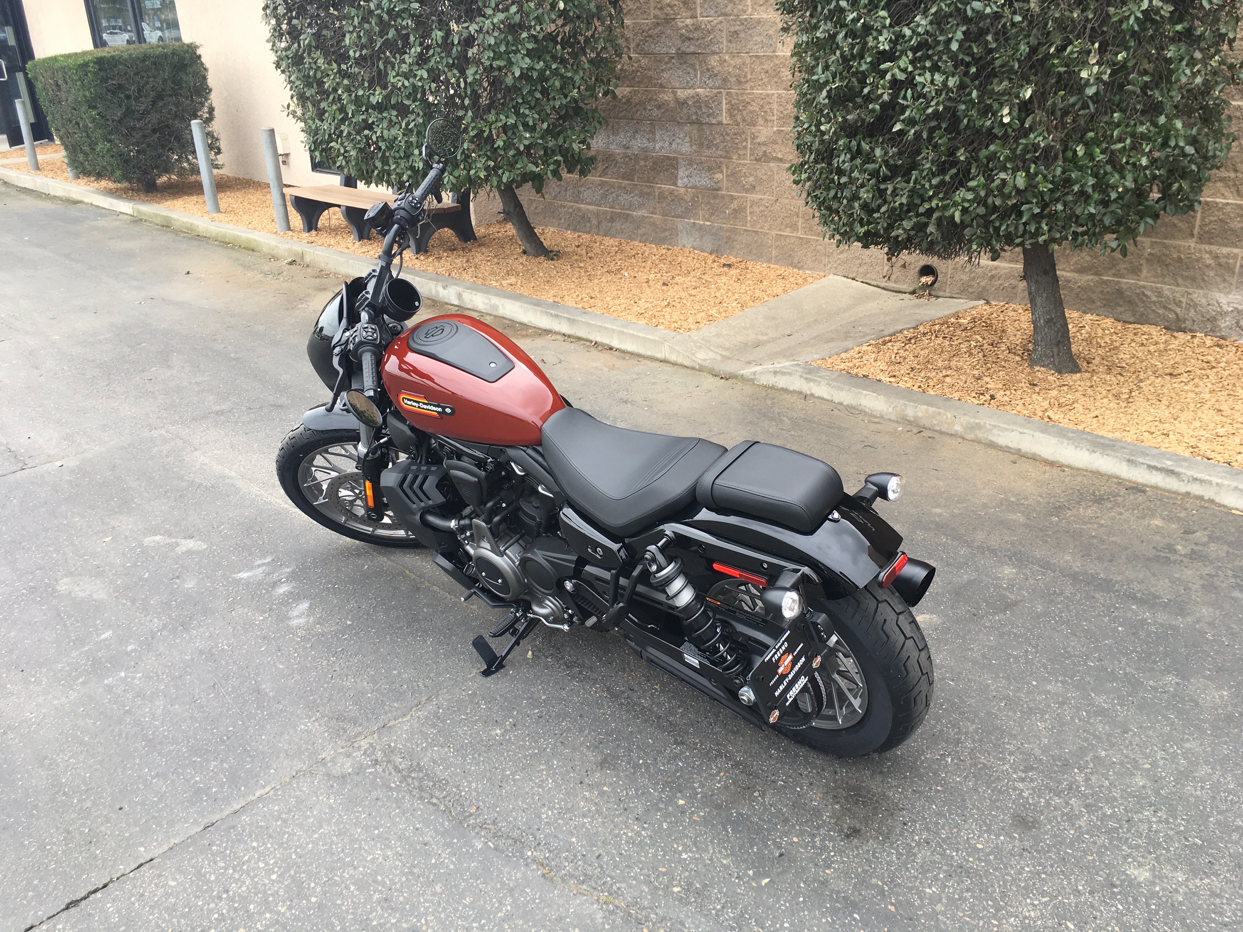 2024 Harley-Davidson Sportster Nightster Special at Fresno Harley-Davidson