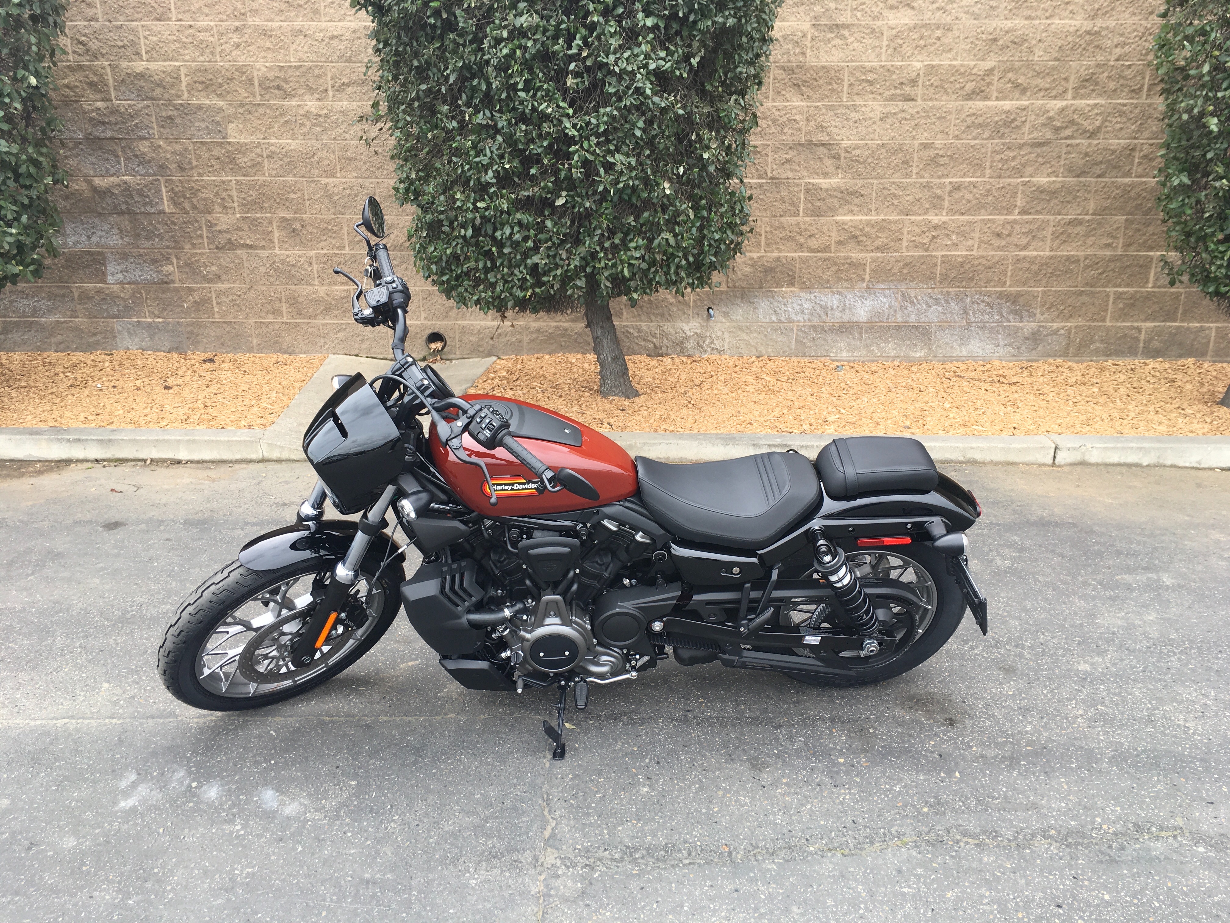2024 Harley-Davidson Sportster Nightster Special at Fresno Harley-Davidson