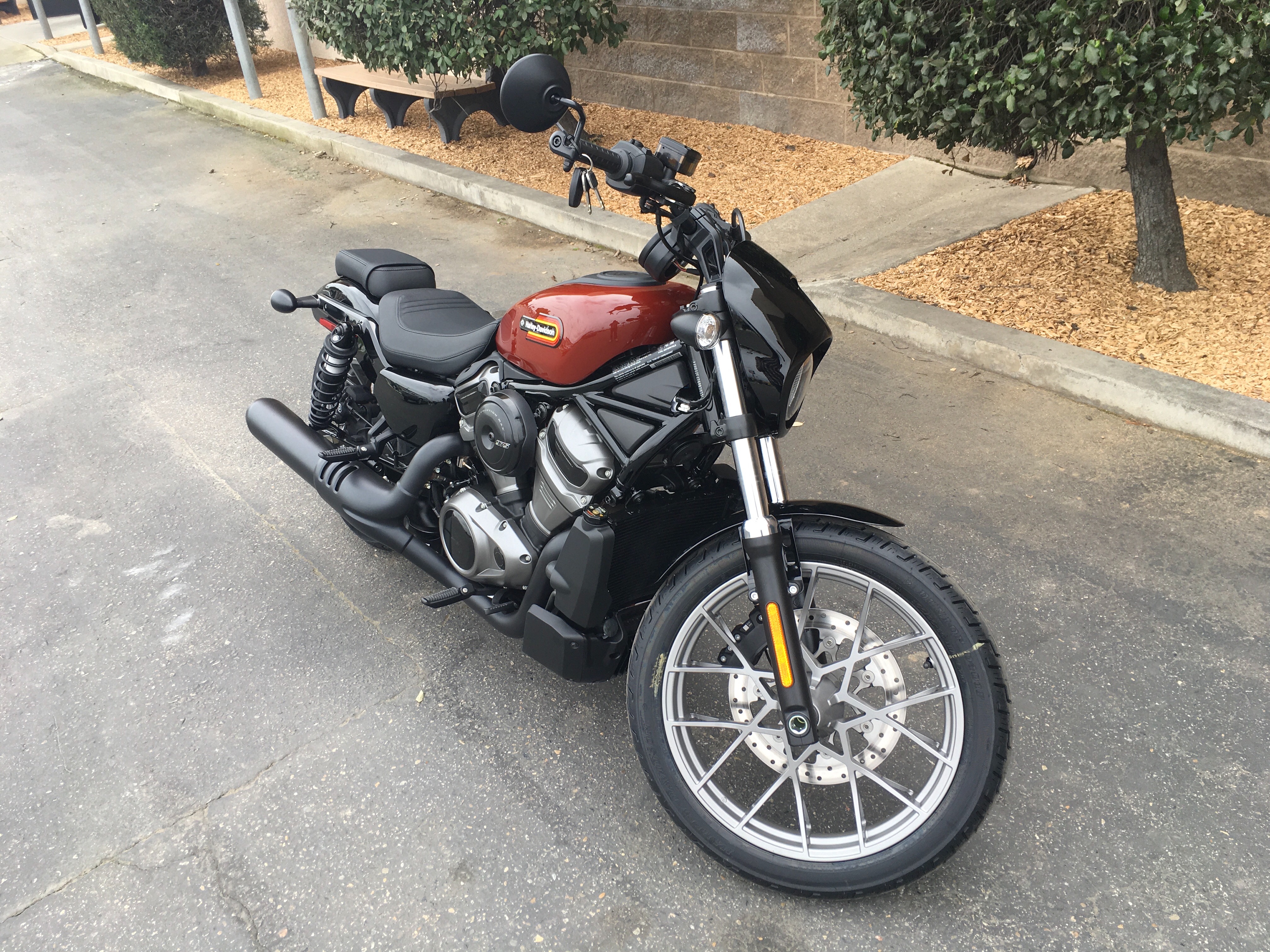 2024 Harley-Davidson Sportster Nightster Special at Fresno Harley-Davidson