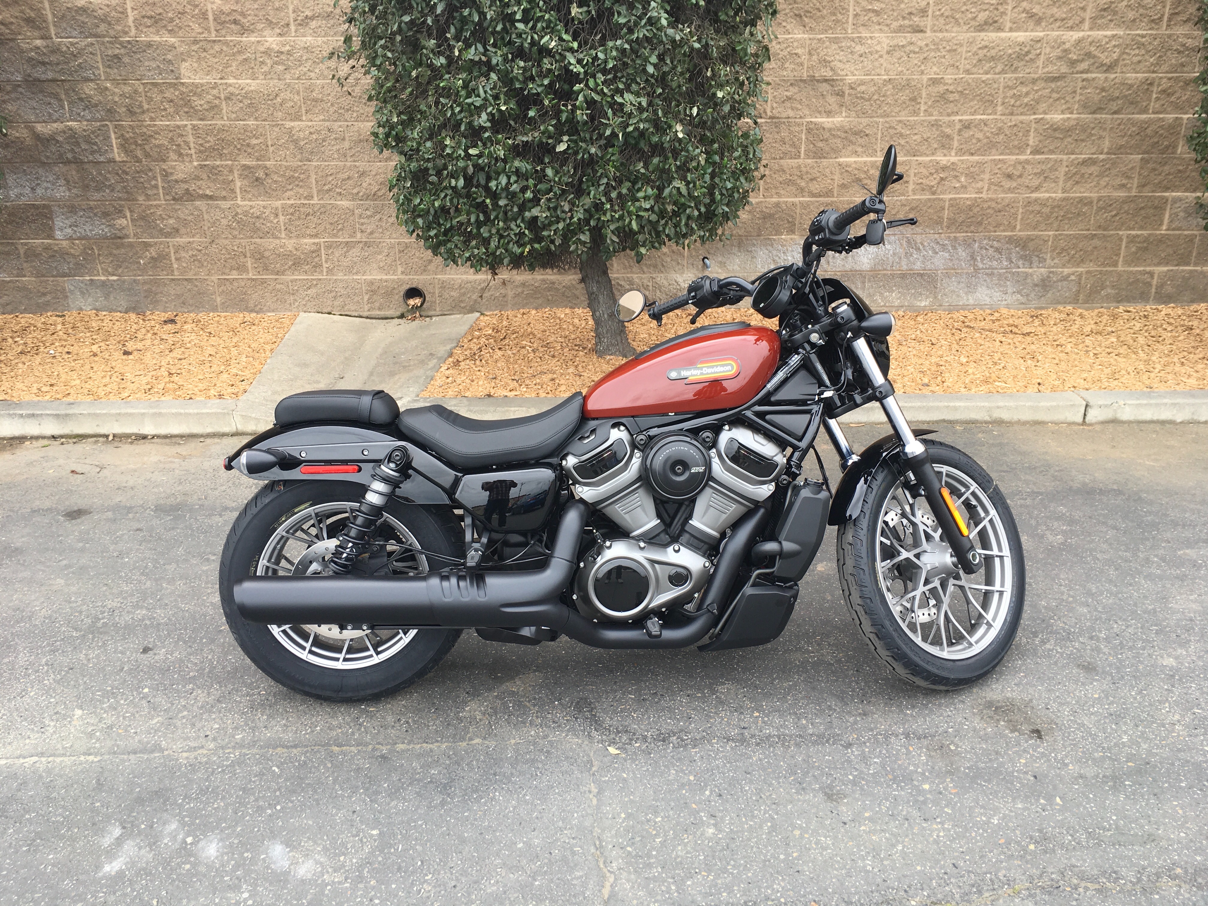 2024 Harley-Davidson Sportster Nightster Special at Fresno Harley-Davidson