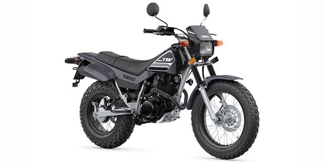 2022 Yamaha TW 200 at ATVs and More