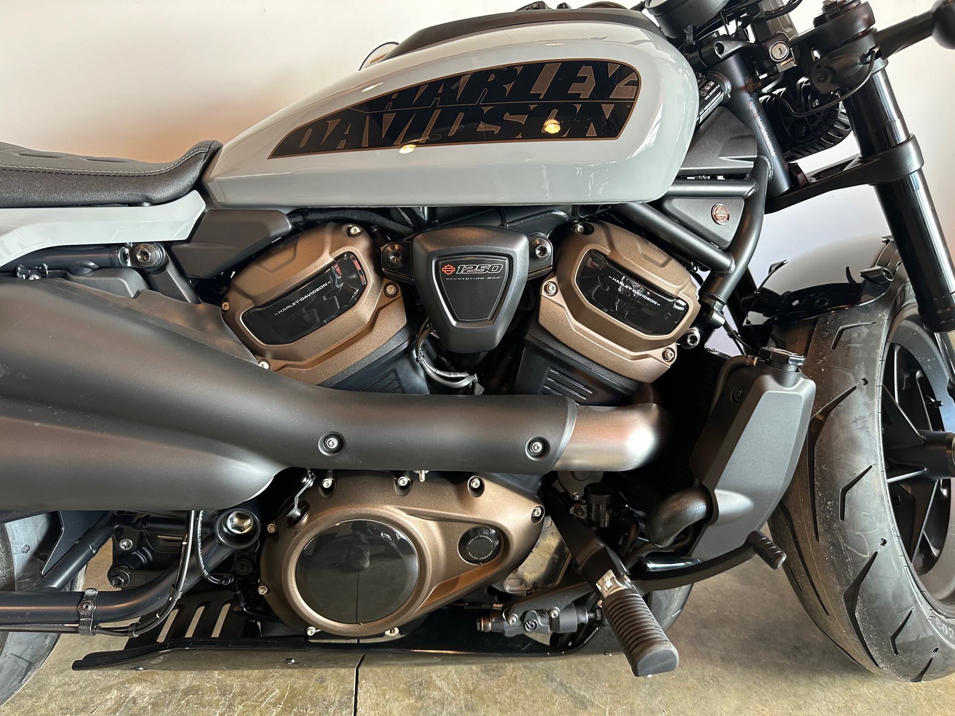 2024 Harley-Davidson Sportster at Stutsman Harley-Davidson