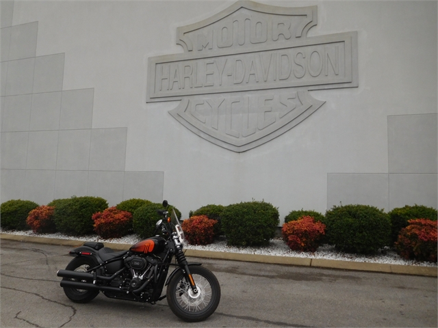 2021 Harley-Davidson Cruiser Street Bob 114 at Bumpus H-D of Murfreesboro