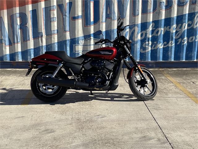 2019 Harley-Davidson Street 750 at Gruene Harley-Davidson