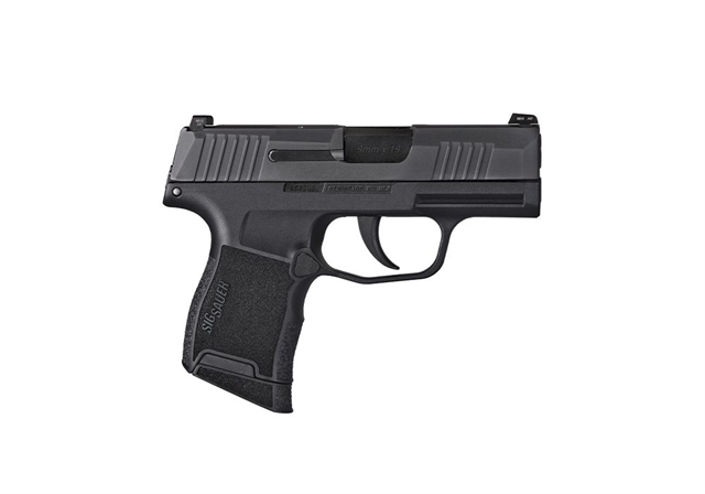 2021 Sig Sauer Handgun at Harsh Outdoors, Eaton, CO 80615