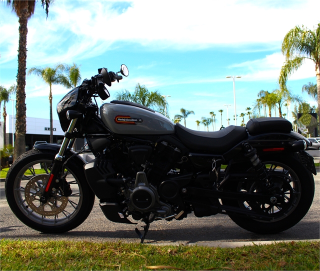 2024 Harley-Davidson Sportster Nightster Special at Quaid Harley-Davidson, Loma Linda, CA 92354