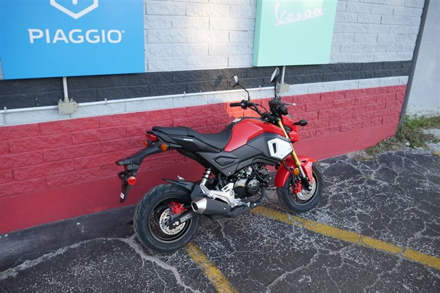 Honda Grom Abs Powersports St Augustine