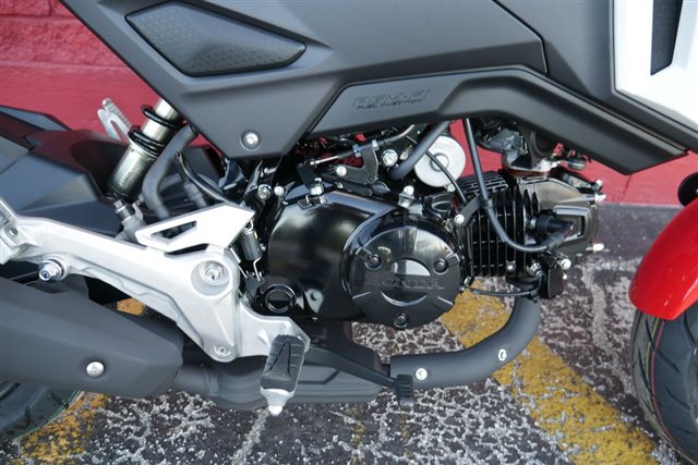 Honda Grom Abs Powersports St Augustine