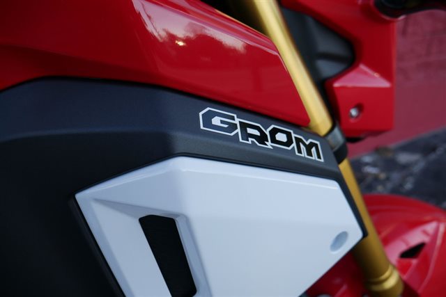 Honda Grom Abs Powersports St Augustine