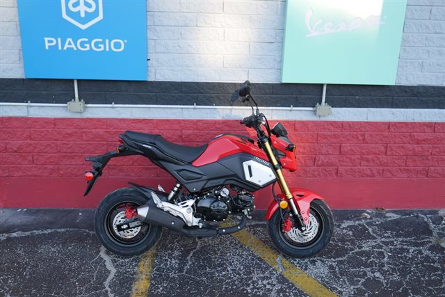 Honda Grom Abs Powersports St Augustine