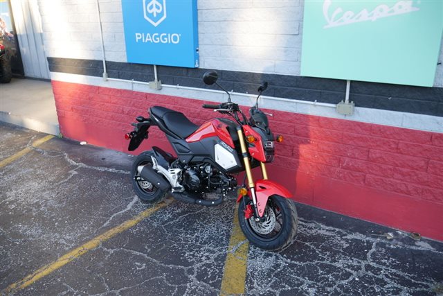 Honda Grom Abs Powersports St Augustine