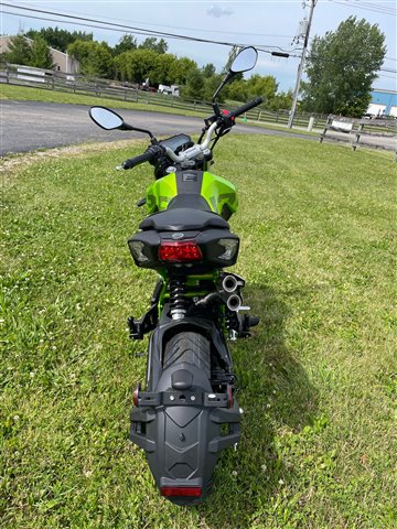 2023 Benelli TNT 135 at Randy's Cycle