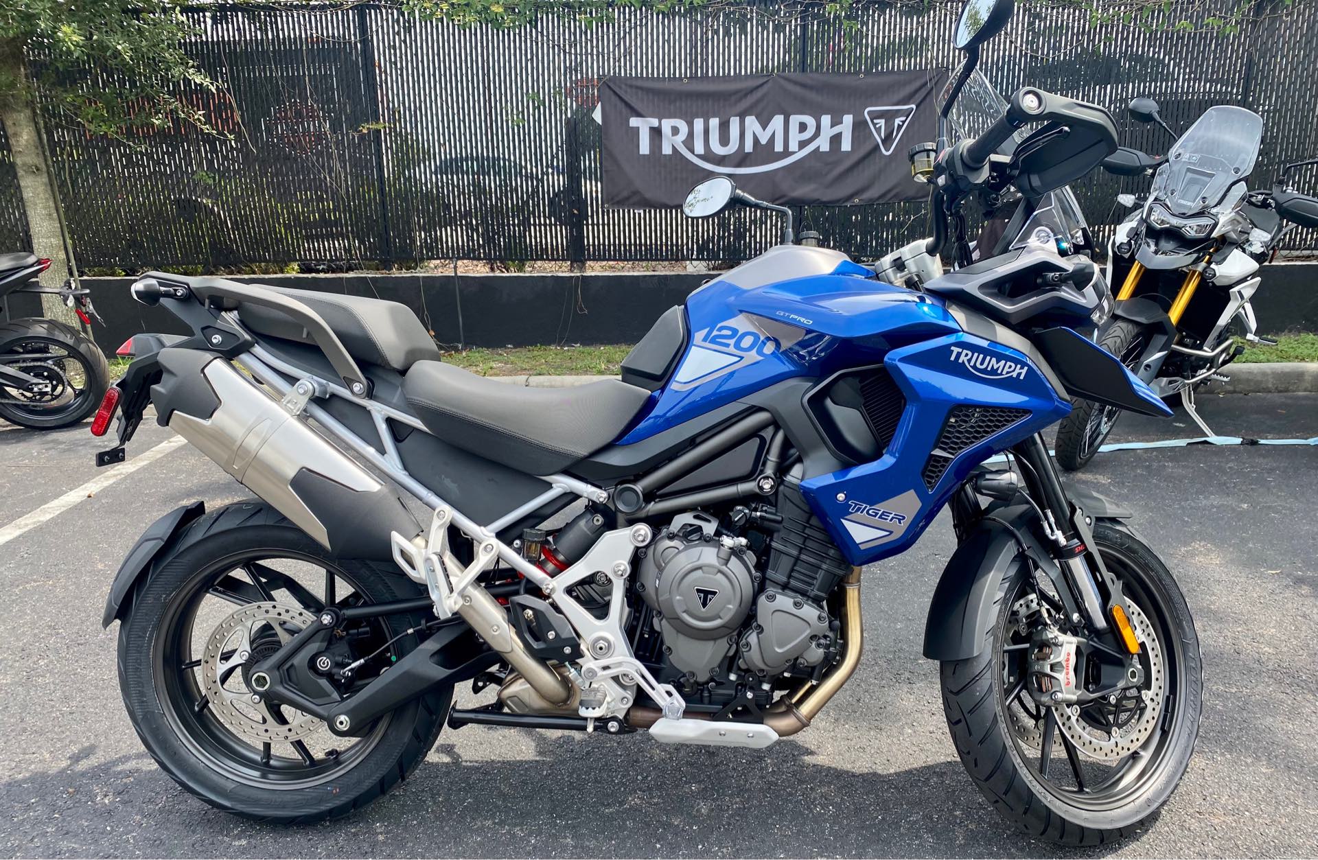 2023 Triumph Tiger 1200 GT Pro | Tampa Triumph