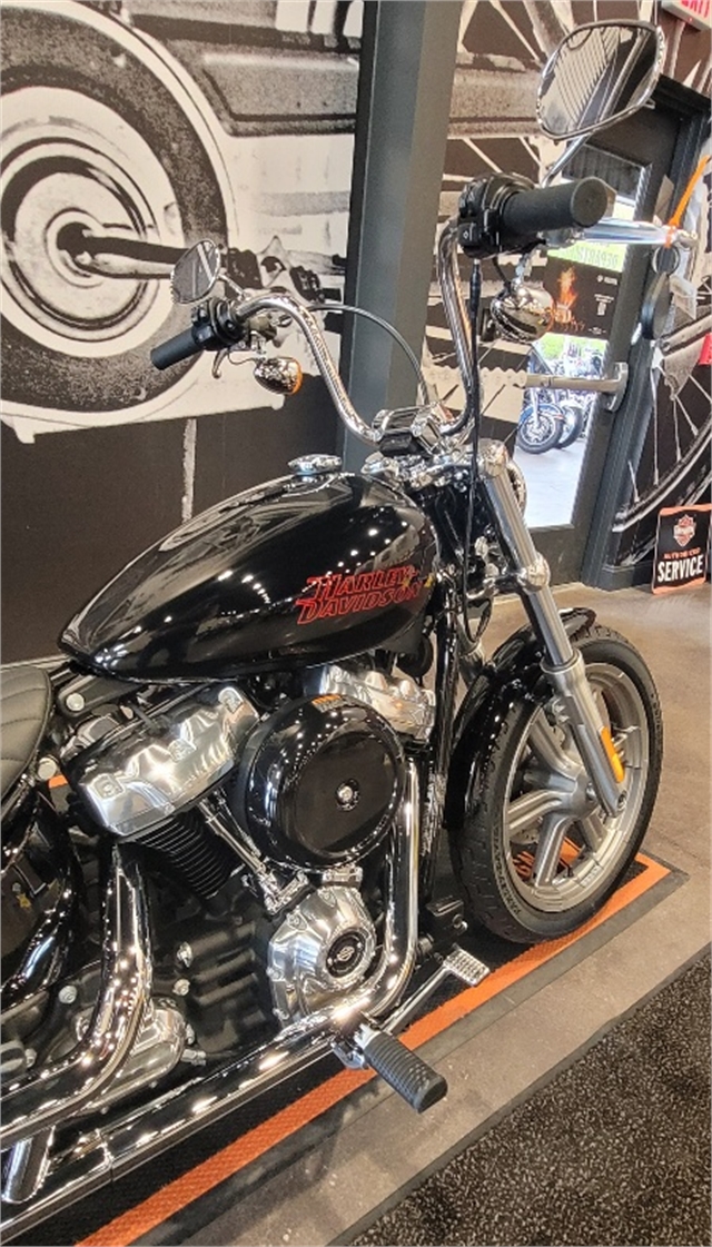 2023 Harley-Davidson Softail Standard at RG's Almost Heaven Harley-Davidson, Nutter Fort, WV 26301