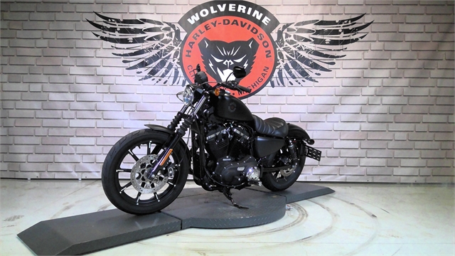 2021 Harley-Davidson Cruiser XL 883N Iron 883 at Wolverine Harley-Davidson