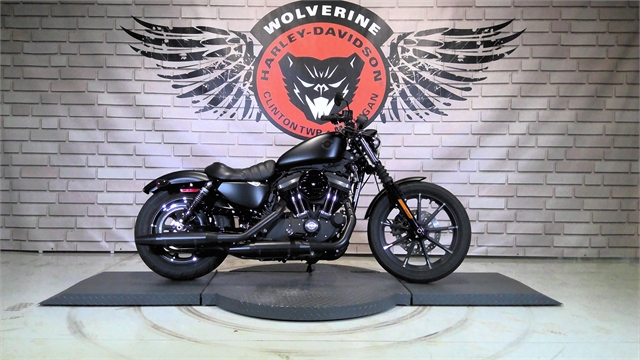 2021 Harley-Davidson Cruiser XL 883N Iron 883 at Wolverine Harley-Davidson