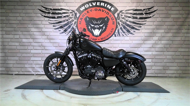 2021 Harley-Davidson Cruiser XL 883N Iron 883 at Wolverine Harley-Davidson