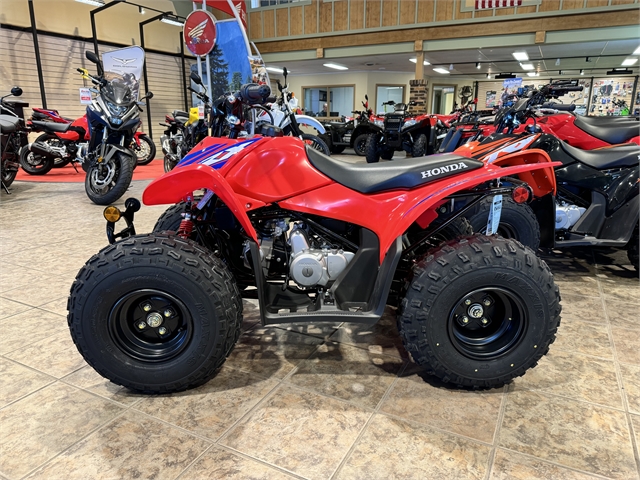 2024 Honda TRX 90X at Ehlerding Motorsports