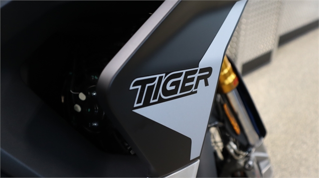 2023 Triumph Tiger 900 Rally Pro at Motoprimo Motorsports