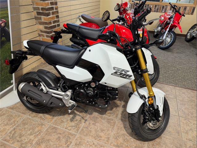 2025 Honda Grom ABS at Ehlerding Motorsports