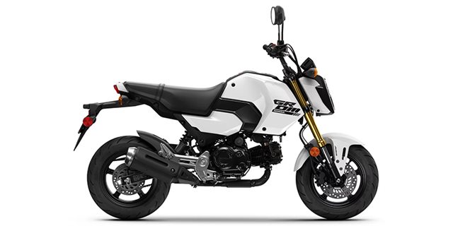 2025 Honda Grom ABS at Ehlerding Motorsports