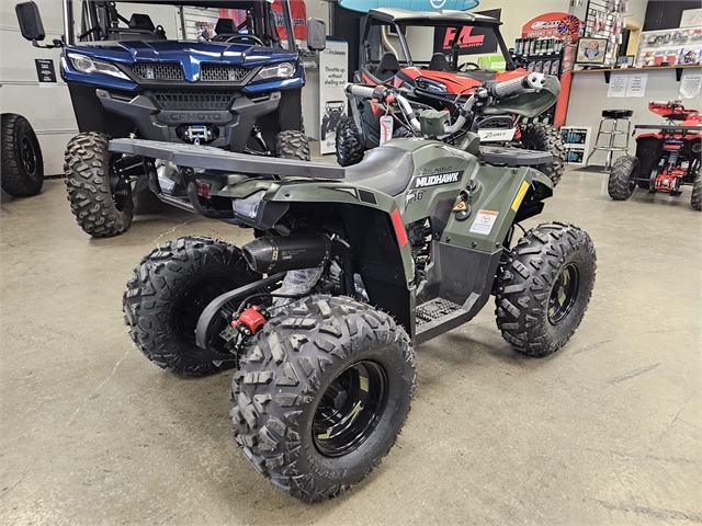 2024 Denago Mudhawk 10 125cc FI at Matt's ATV & Offroad