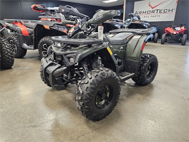 2024 Denago Mudhawk 10 125cc FI at Matt's ATV & Offroad