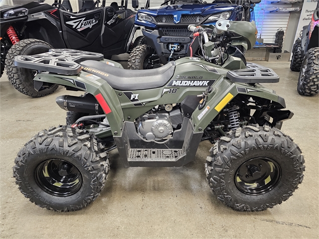 2024 Denago Mudhawk 10 125cc FI at Matt's ATV & Offroad