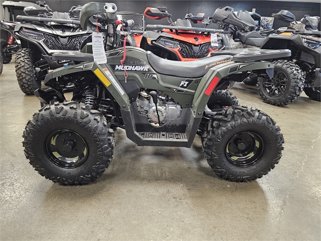 2024 Denago Mudhawk 10 125cc FI at Matt's ATV & Offroad