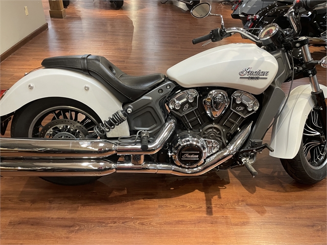2020 Indian Motorcycle Scout - ABS at Got Gear Motorsports