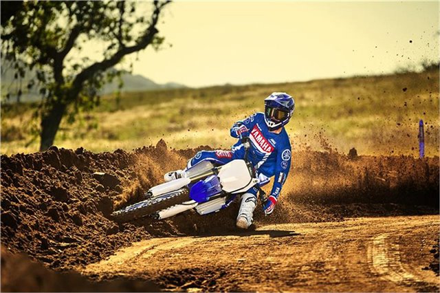 2019 Yamaha YZ 250F at Ehlerding Motorsports