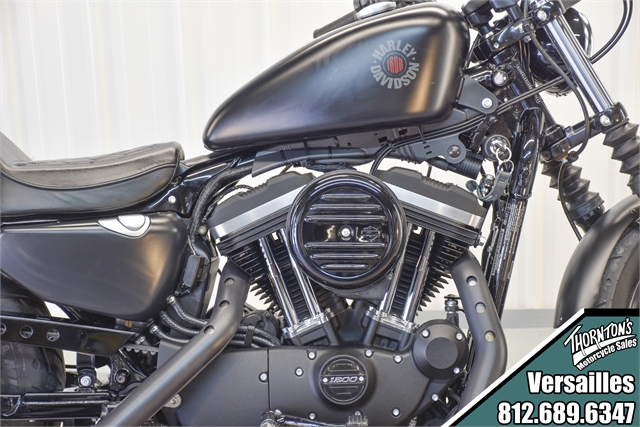 2021 Harley-Davidson Iron 883' at Thornton's Motorcycle - Versailles, IN