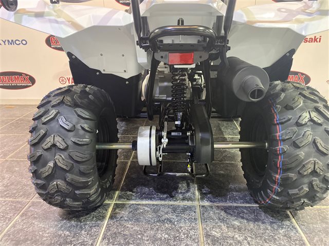 2024 Yamaha Grizzly 90 at Cycle Max