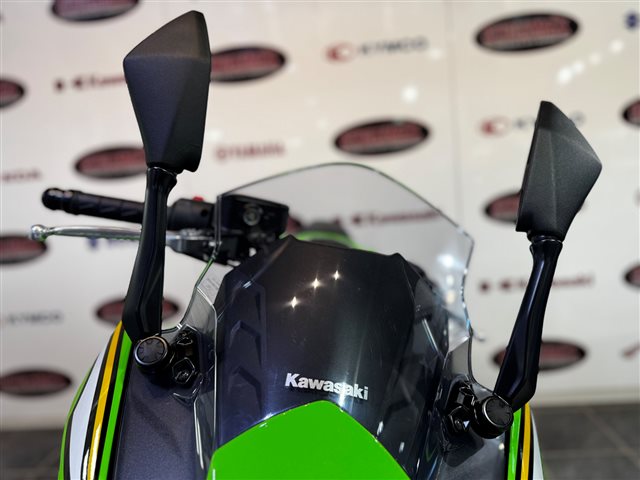 2025 Kawasaki Ninja 650 ABS at Cycle Max