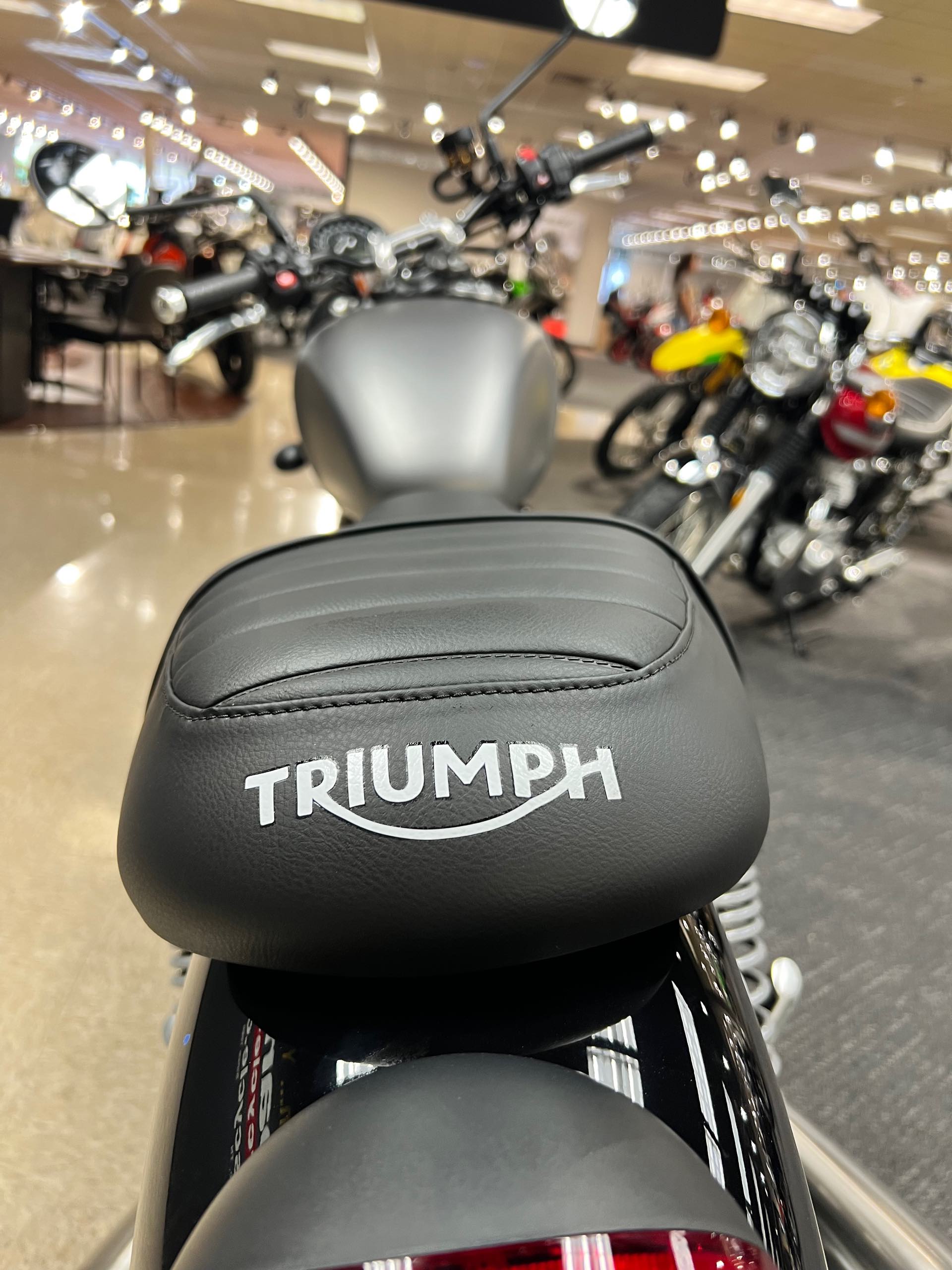 2023 Triumph Speed Twin 900 Base at Sloans Motorcycle ATV, Murfreesboro, TN, 37129