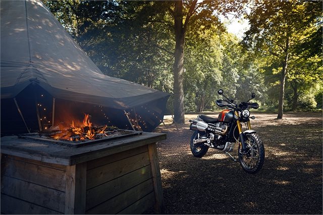 2022 Triumph Scrambler 1200 XE Gold Line at Clawson Motorsports